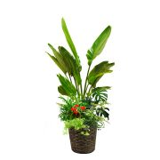 下草付き 23,000円