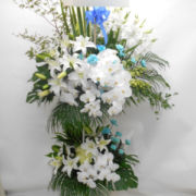 50,000円 清涼感と清潔感のある胡蝶蘭スタンド